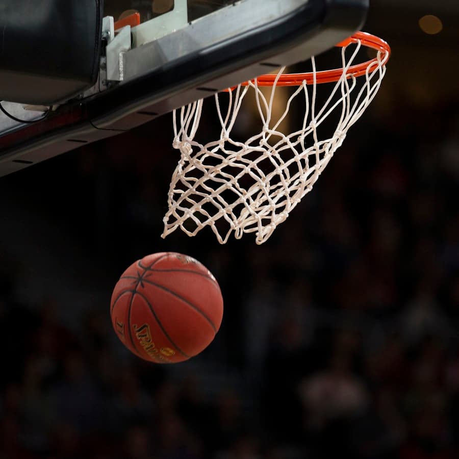 Spalding NBA Official Basketball